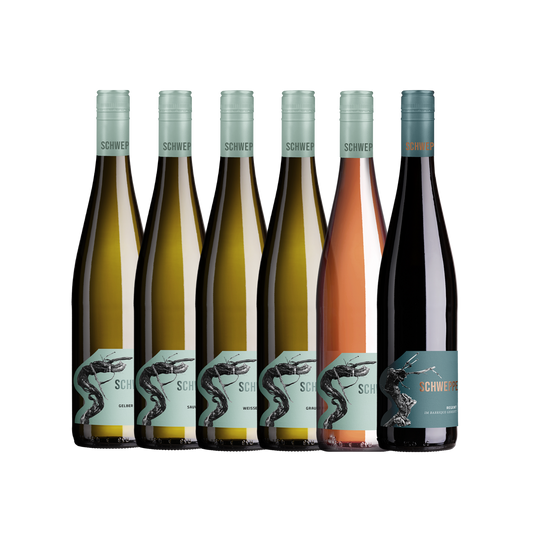 Jahrgangspräsentation 2025